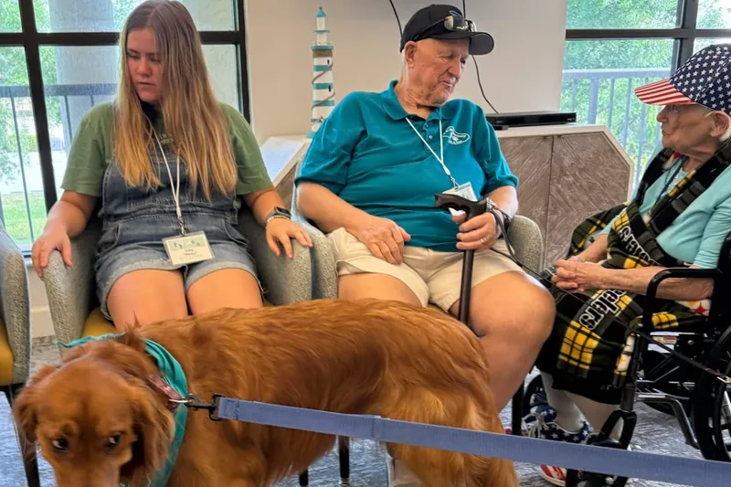 Springwood Court photo 8