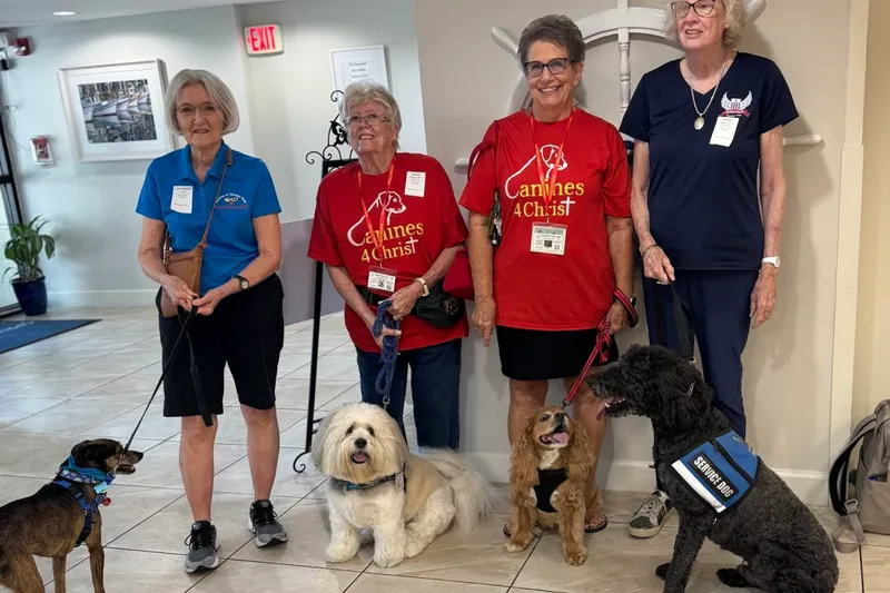 Springwood Court photo 9