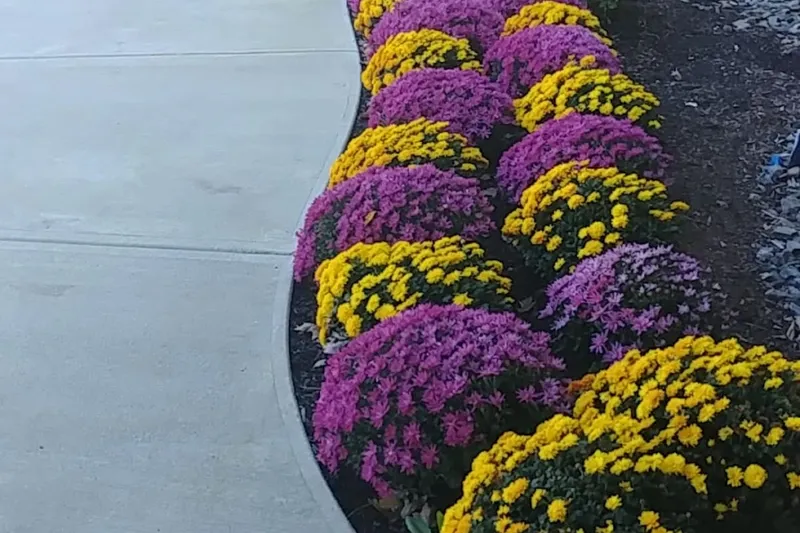 Stonebridge at Burlington photo 6