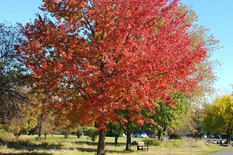 Suffield by the River photo 7