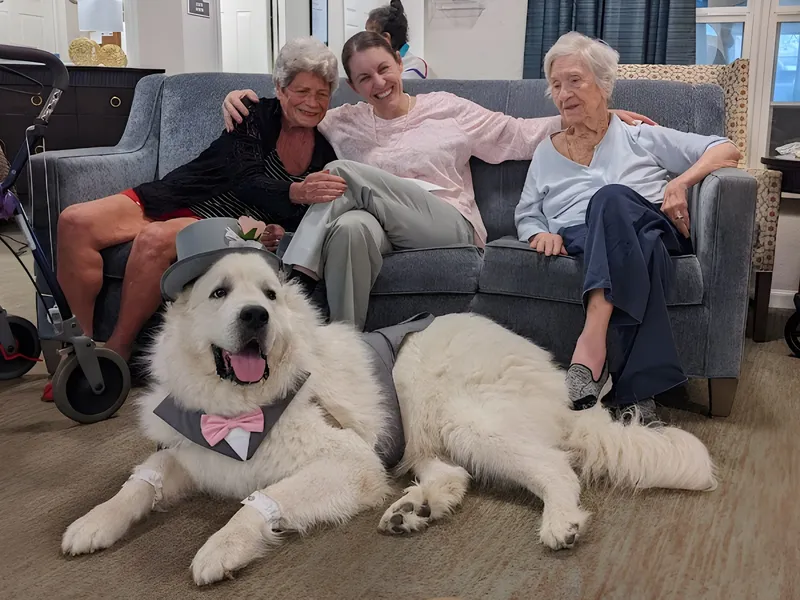 Sumter Terrace photo 4