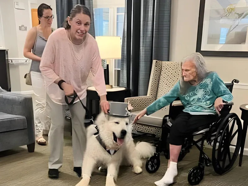 Sumter Terrace photo 8