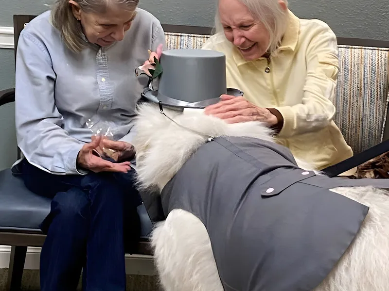 Sumter Terrace photo 9