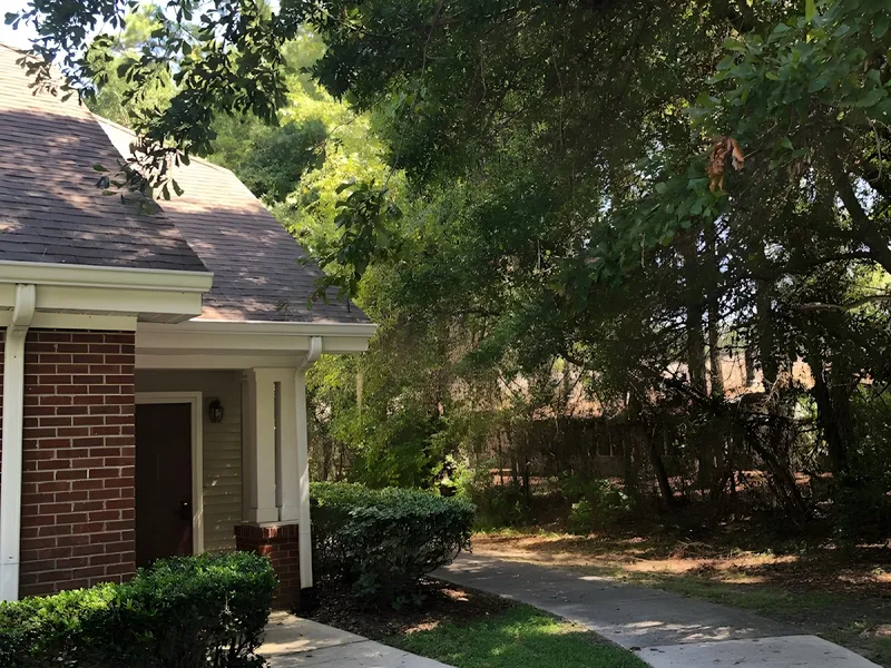 Sunabella at Savannah photo 4