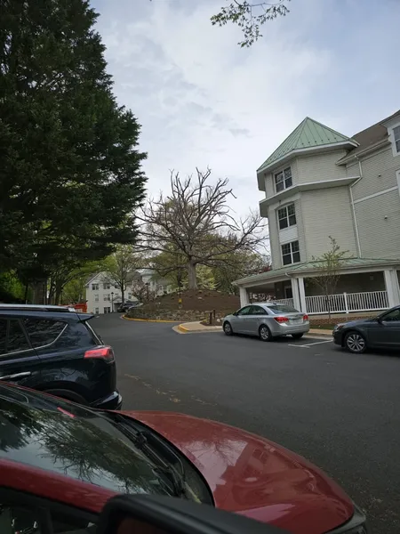 Sunrise at Bluemont Park photo 7