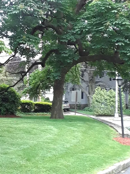 Sunrise at Fleetwood photo 7