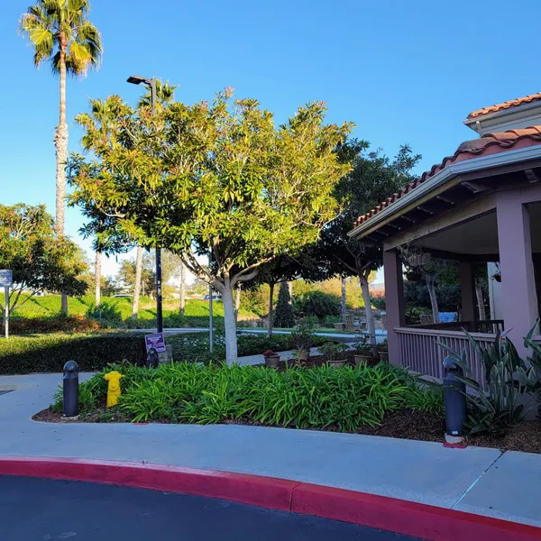 Sunrise at La Costa photo 6