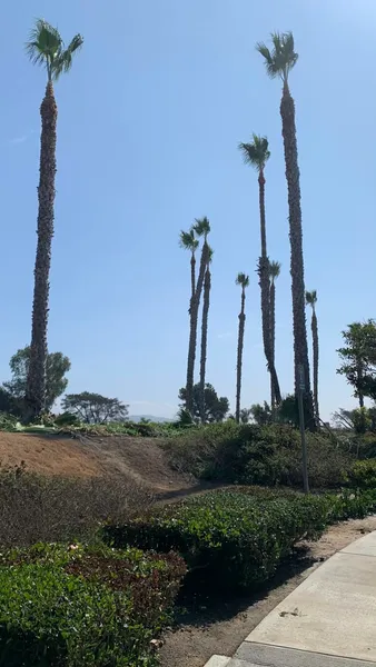 Sunrise at La Costa photo 7