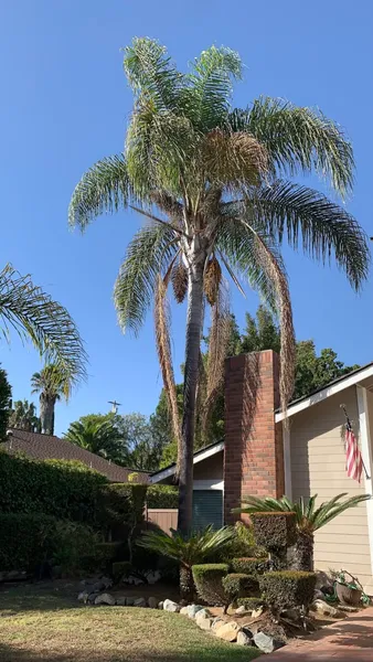 Sunrise at La Costa photo 9