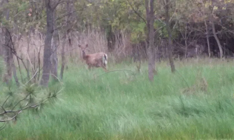 Sunrise at Parma photo 9