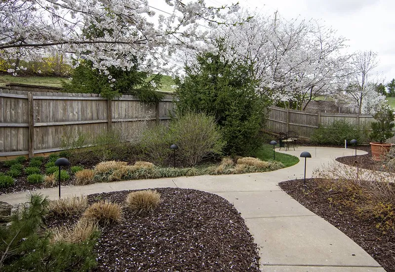 Sunrise of Des Peres photo 3