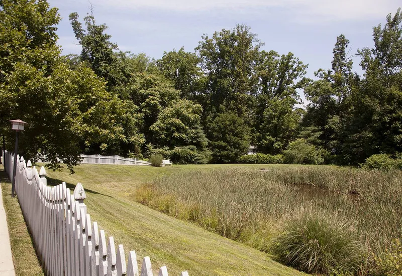 Sunrise of Richmond photo 7