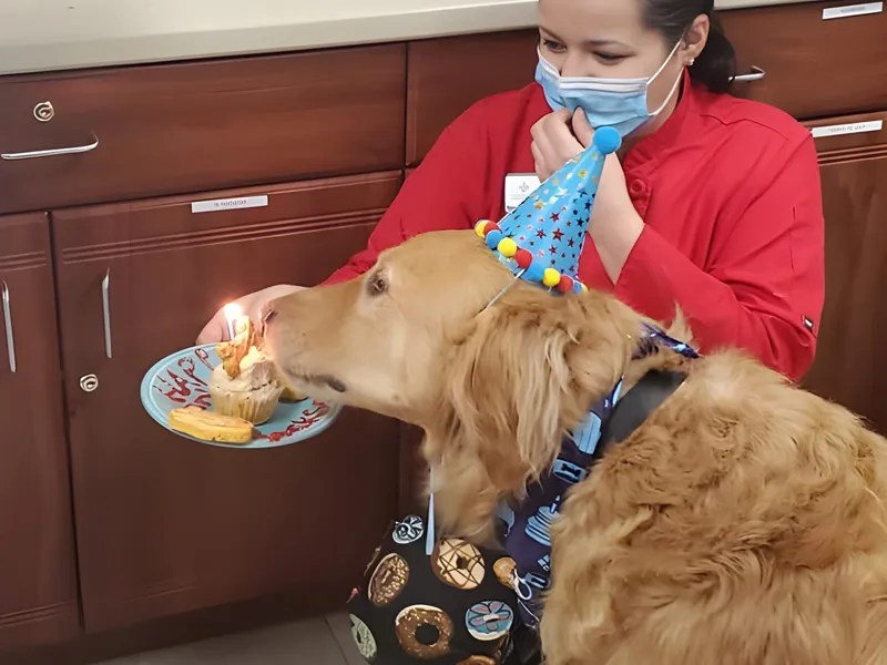 Terra Pointe Memory Care photo 8