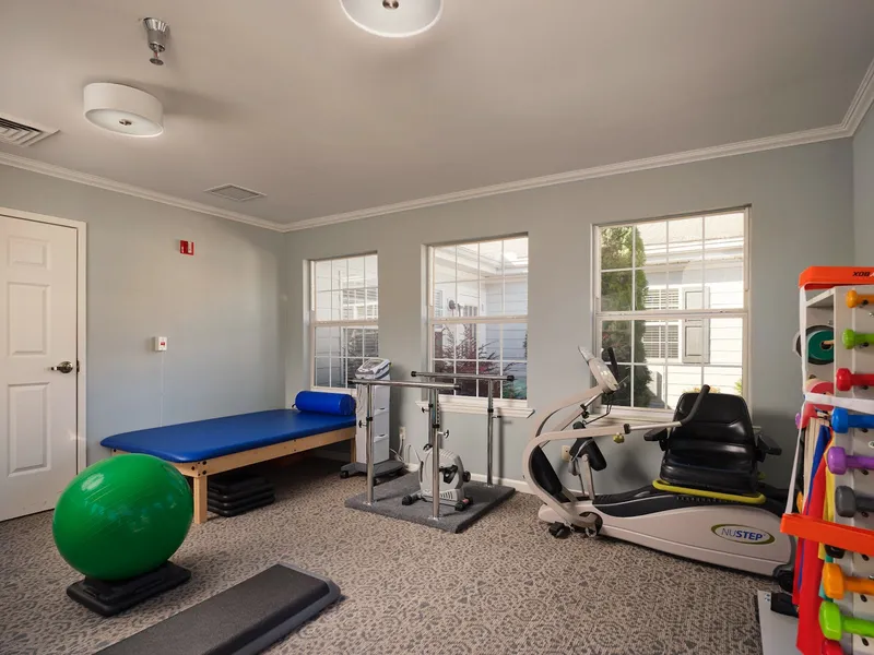 TerraBella Athens photo 6