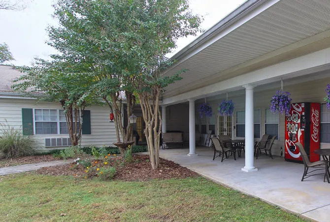 TerraBella Athens photo 8