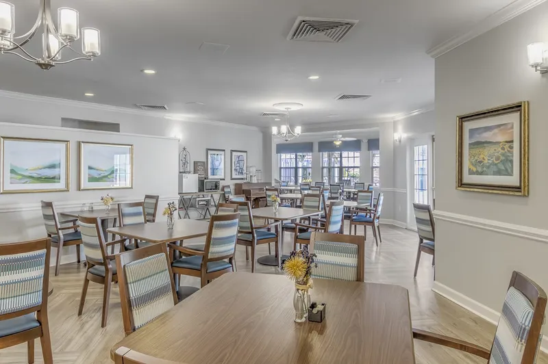 TerraBella Shelby photo 4