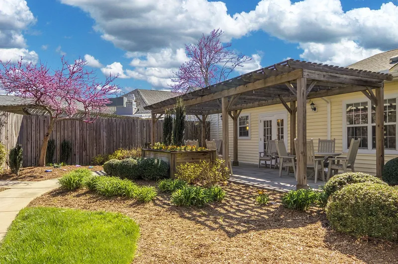 TerraBella Shelby photo 9