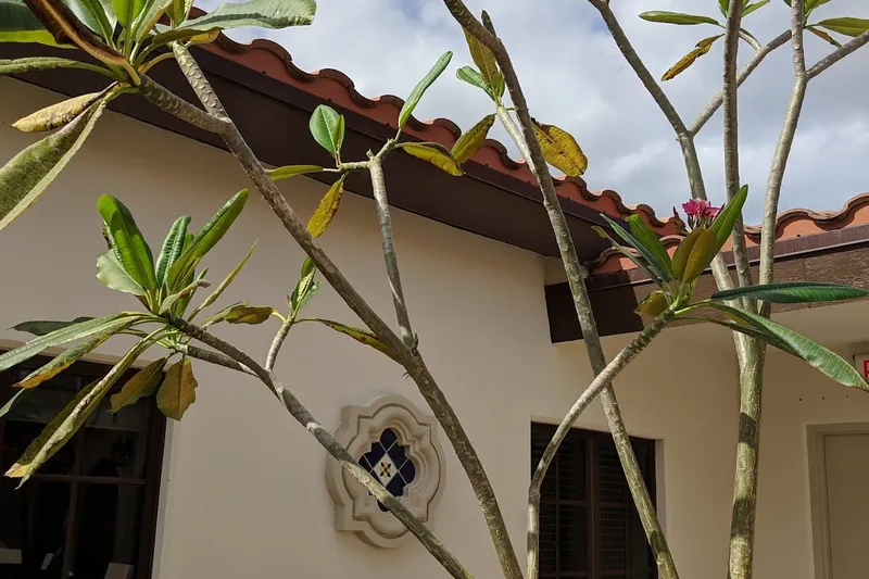 The Arbor at Lake Worth photo 10