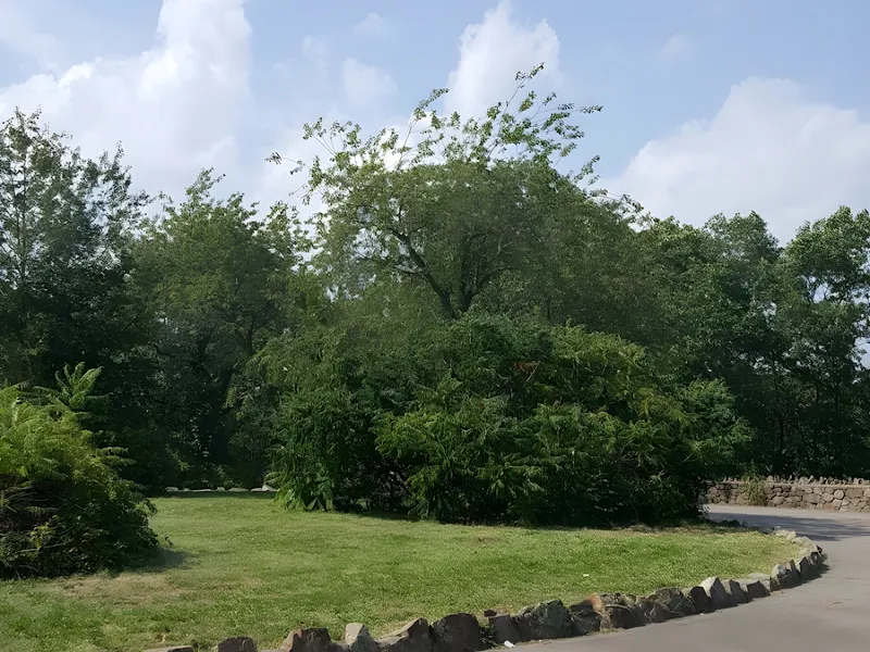 The Atrium at Faxon Woods photo 9