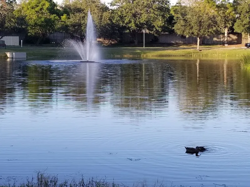 The Barclay at Sarasota photo 8