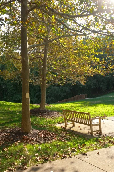 The Colonnades photo 2