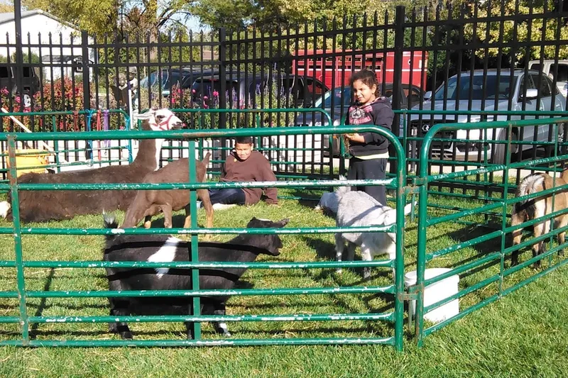 The Cottages of New Lenox photo 9
