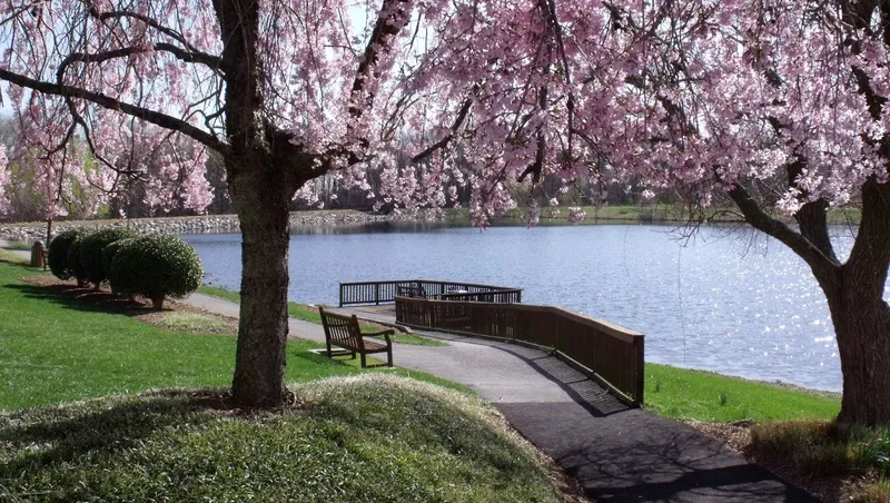 The Fairfax at Belvoir Woods photo 7