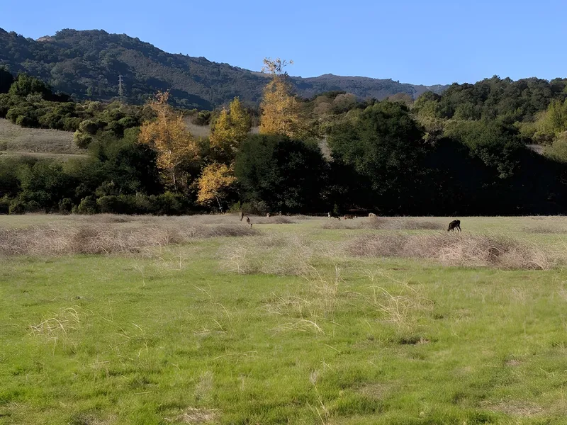 The Forum at Rancho San Antonio photo 3