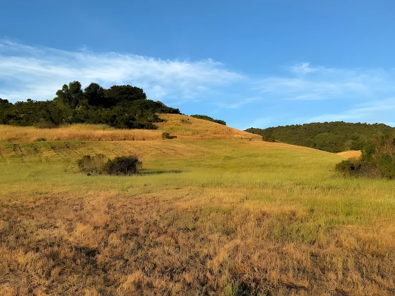 The Forum at Rancho San Antonio photo 8