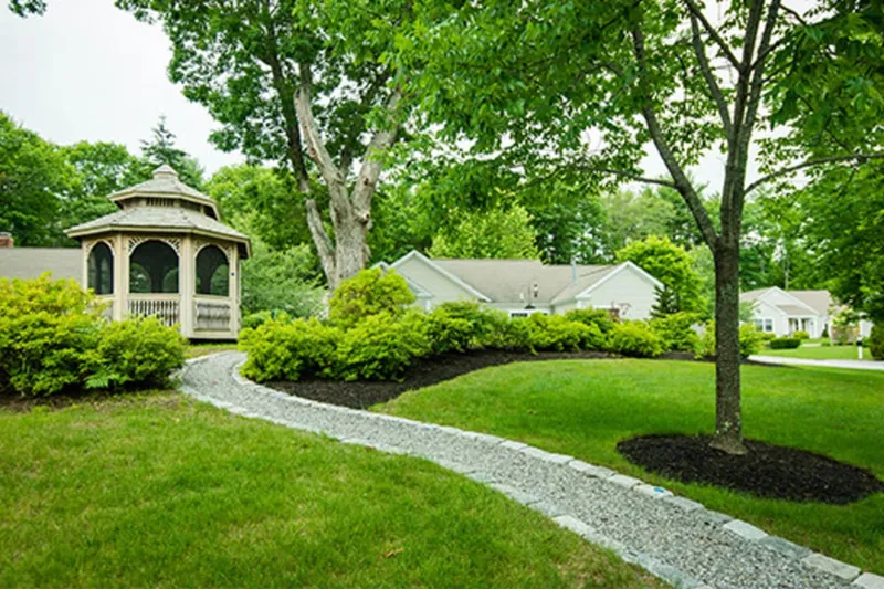 The Highlands photo 4