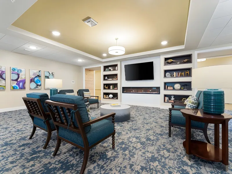 The Meridian at Brandon photo 2