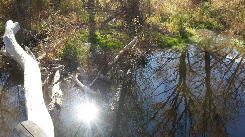 The Peaks at Old Laramie Trail photo 8