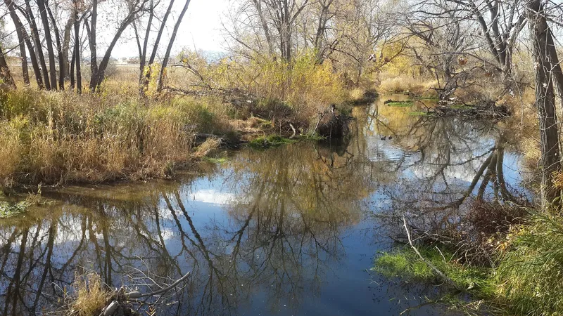 The Peaks at Old Laramie Trail photo 9
