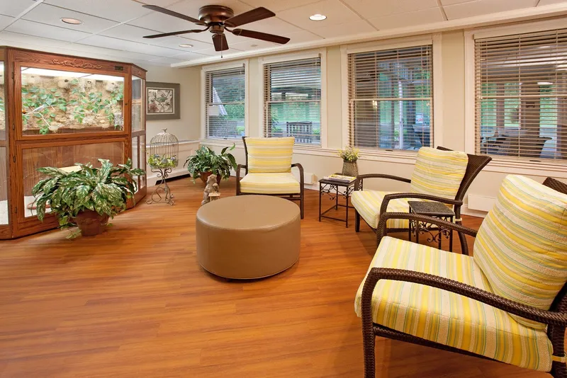 The Pines of Mount Lebanon photo 3