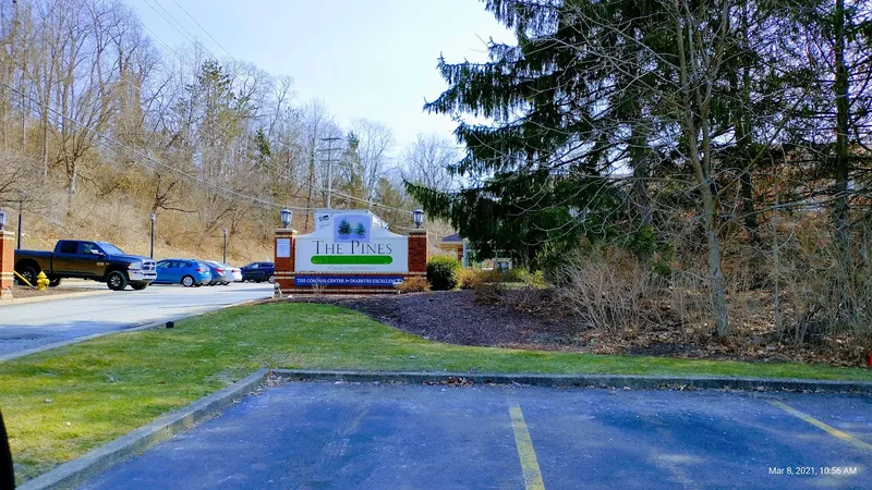 The Pines of Mount Lebanon photo 6