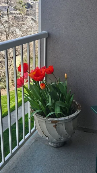 The Remington photo 9