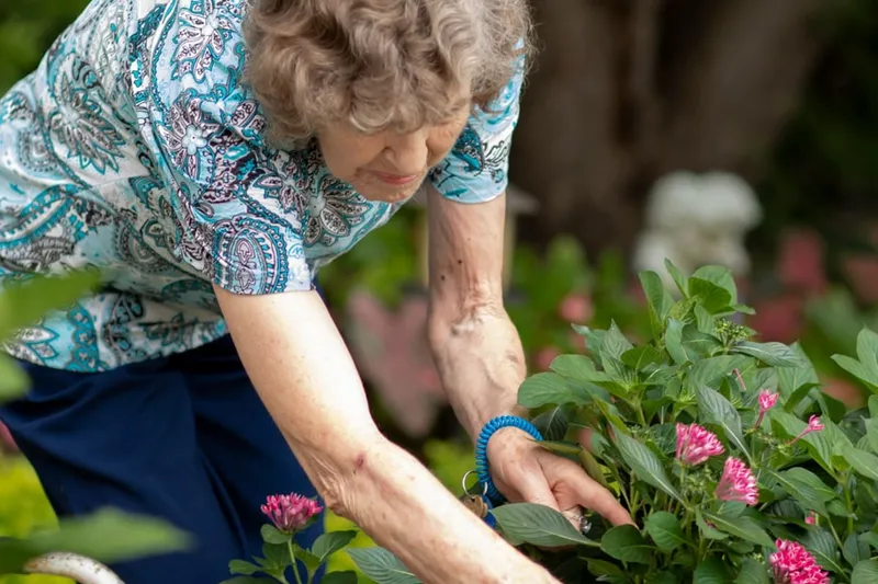 The Residence at Bethel Park photo 8