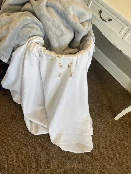 The Residence at Presque Isle Bay photo 3