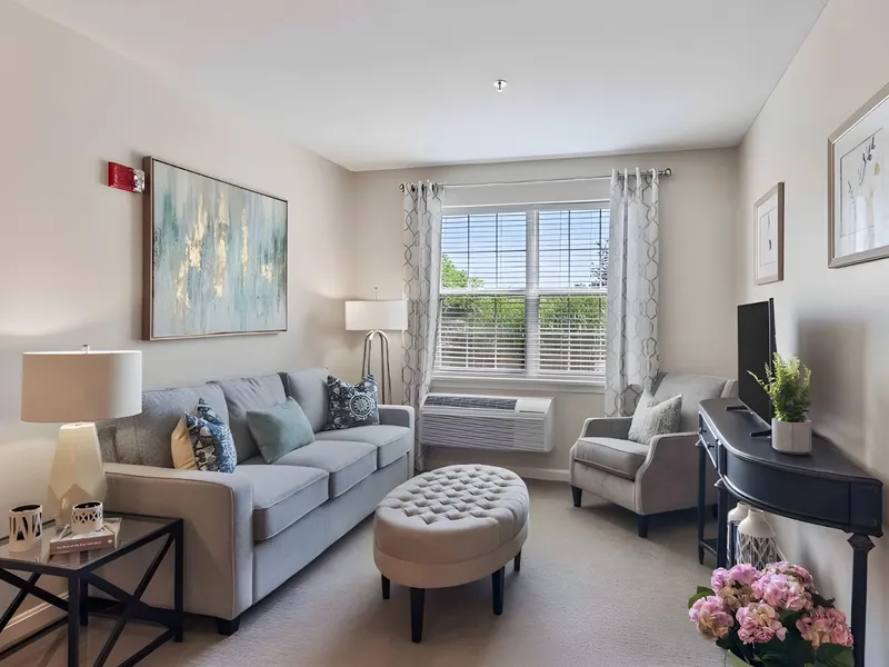 The Village at Brookfield Common photo 8