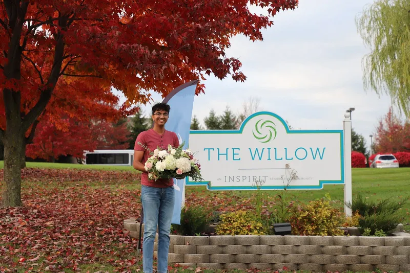 The Willow
