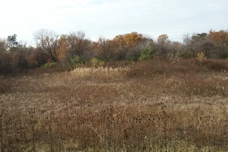 Victory Centre of River Oaks photo 9