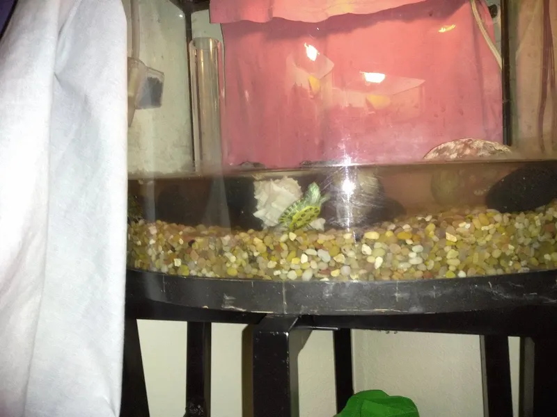 Vivante Newport Mesa photo 7