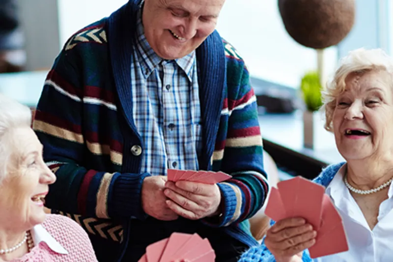 Walking Horse Meadows