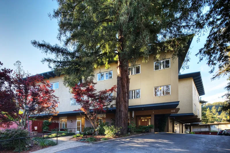 WindChime of Marin photo 2