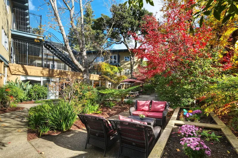 WindChime of Marin photo 8