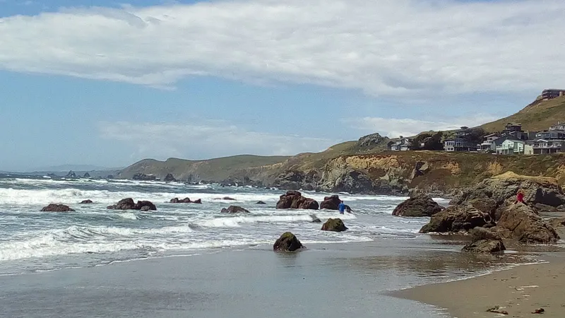 Windsong of Sonoma photo 3