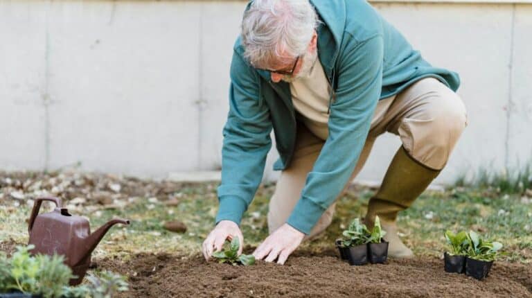 An Elderly Man Planting in a Soil | Gardening for Seniors